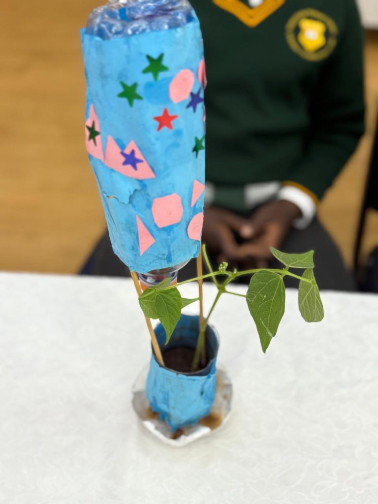 school-projects